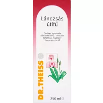 Dr. Theiss Lándzsás Útifű szirup 250 ml