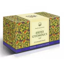 MECSEK GYUMOLCSTEA ERD GYUM 20X FILTERES