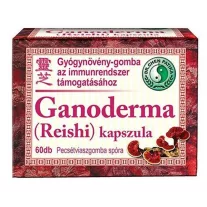 Dr. Chen Ganoderma kapszula 60 db