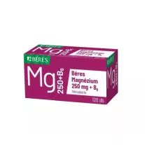 BERES MAGNEZIUM 250 MG+B6 FILMTABL. 120X