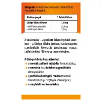 BioCo Ginkgo Kivonat 120 mg tabletta 90 db