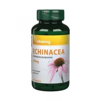 Vitaking Echinacea 250 mg kapszula 90 db