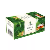 MECSEK DIOFALEVEL TEA FILT 25X