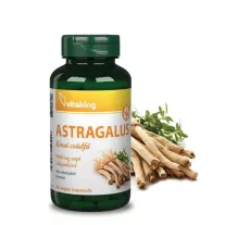 Vitaking Astragalus kivonat 90 db
