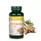 Vitaking Astragalus kivonat 90 db