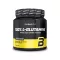 BioTechUSA 100% L-Glutamine 240 g