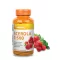 Vitaking Acerola C-500 epres rágótabletta 40 db