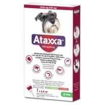Ataxxa rácsepegtető oldat 10-25 kg kutyáknak 2,5 ml 1 db