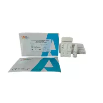 Alltest Mycoplasma Tüdőgyulladás Gyorsteszt 1 db